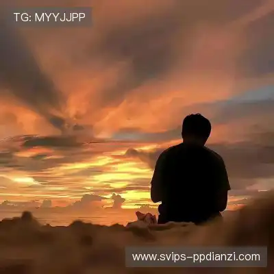 单进飙
